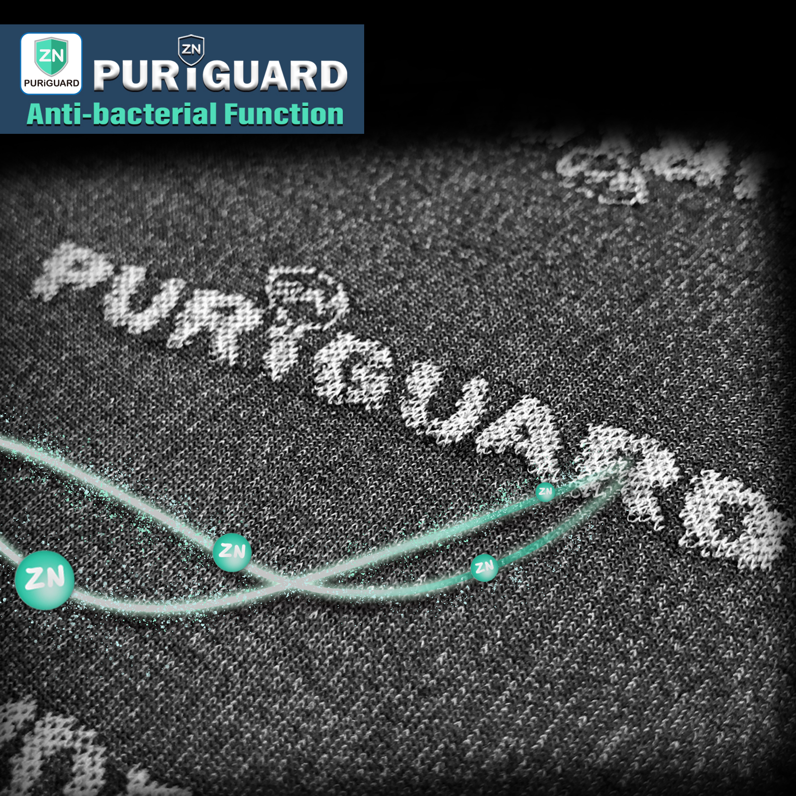 Introduction for PURiGUARD